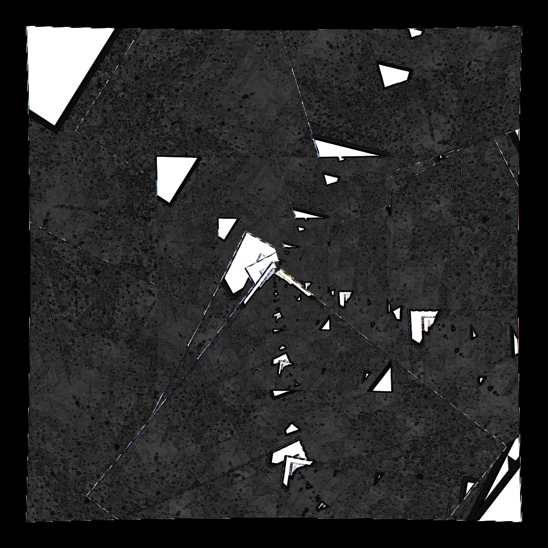 a canvas almost entirely filled with an almost organic dark gray texture with a lighter gray background and some darker gray dots that look almost like cells. some speckles of white here and there, showcasing the repetion in the image, corners of shapes with white fills and black outlines.