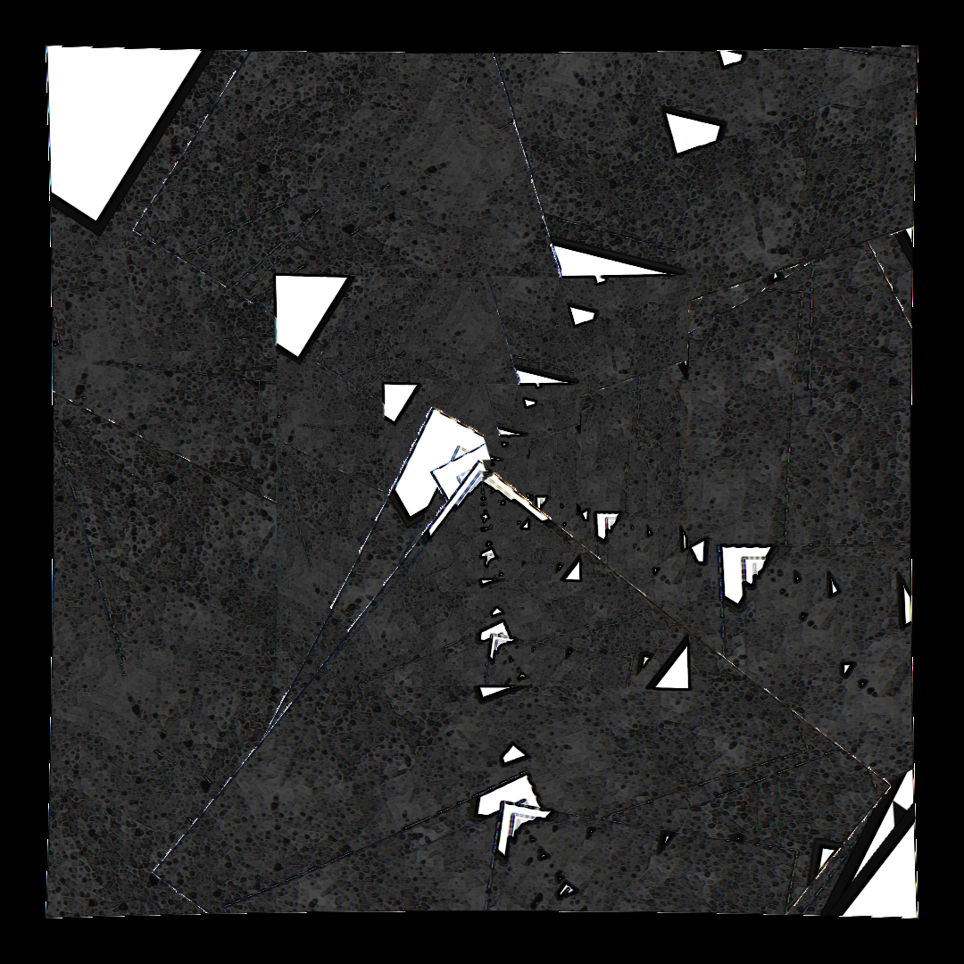 a canvas almost entirely filled with an almost organic dark gray texture with a lighter gray background and some darker gray dots that look almost like cells. some speckles of white here and there, showcasing the repetion in the image, corners of shapes with white fills and black outlines. a canvas almost entirely filled with an almost organic dark gray texture with a lighter gray background and some darker gray dots that look almost like cells. some speckles of white here and there, showcasing the repetion in the image, corners of shapes with white fills and black outlines.