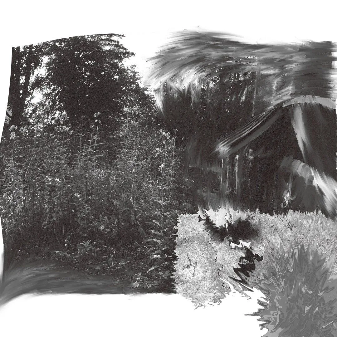 Abstract digital artwork; a square white canvas with an image centered on it. The image is wholly black and white and partly has a gorgeous filmic grain. Taking up approximately half of the image on the left side, there seems to be a mostly unedited garden, with tall flowering plants and a tree above them. The edges of the image are wavey, though, and sometimes even spill off of the canvas. The bottom left corner is more of a blurry whirl, where parts of the image are almost sucked outside the canvas. The right side of the canvas appears to be filled by a nice old building, though it has been very distorted and brushed over. The lightly-colored terrace of the building is very sharply distorted at points and has lost most of it's original texture. At the bottom right is has even spilled onto the white canvas as an amorphous gray blob, and the white canvas has spilled onto it. The rest of the building is mostly dark with some lightly-colored accents, all of which have been brushed over.
